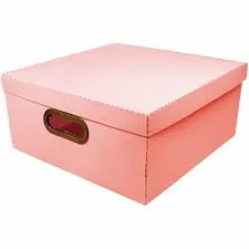 * CAIXA ORGANIZADORA LINHO MEDIA CORAL 29X29X15CM